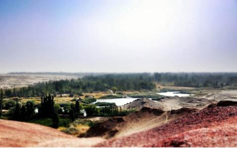 敦煌市2個(gè)村入列國(guó)家森林鄉(xiāng)村名單